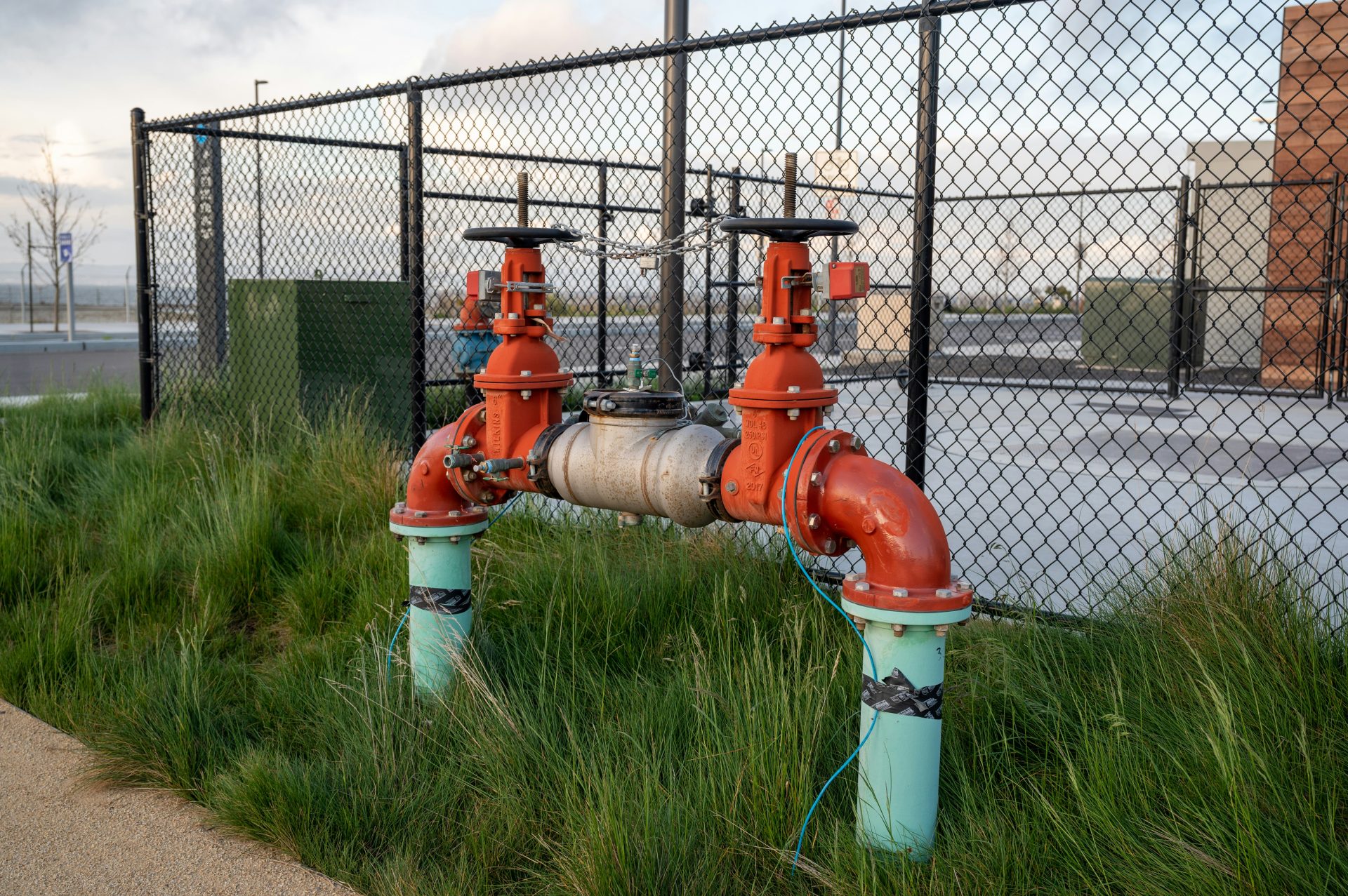 Ein rot-blauer Hydrant, der neben einem Zaun steht.