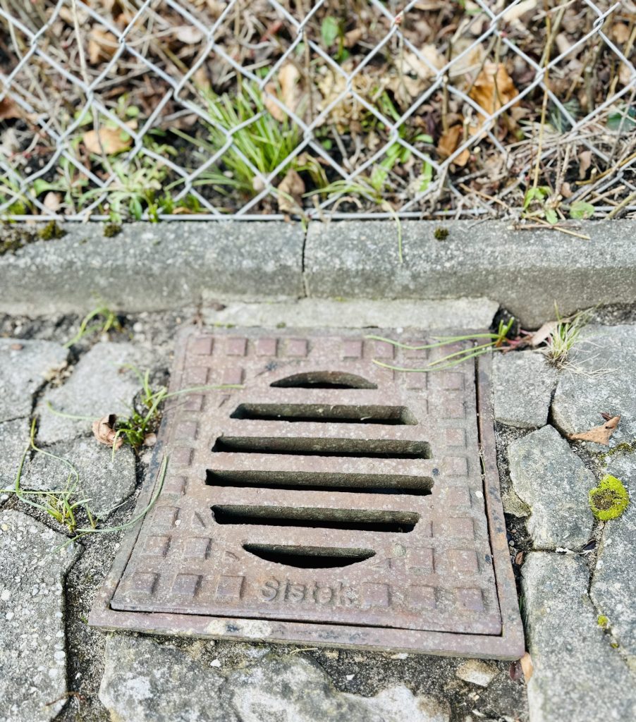 Erfahrung und Vertrauen